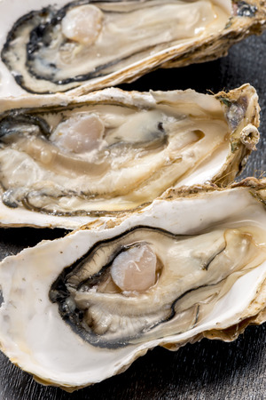 Oysterの写真素材