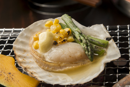 Scallopの写真素材