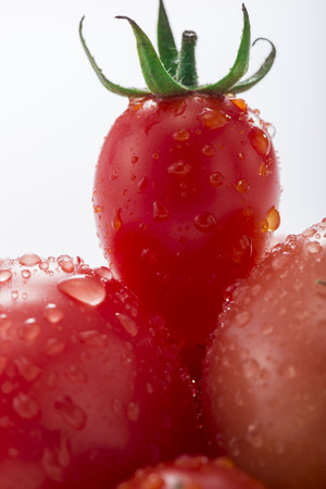 tomatoの写真素材