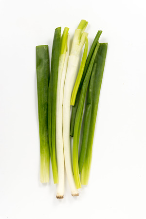 Green onionsの写真素材