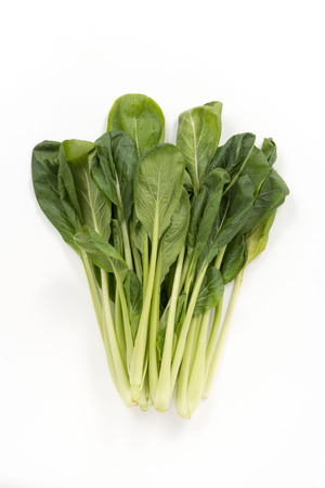 agricultureの写真素材