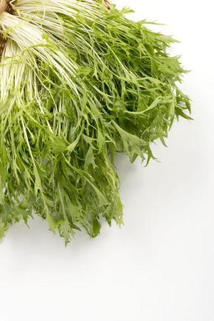 Leafyの写真素材