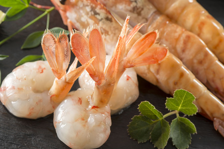 Raw shrimpの写真素材