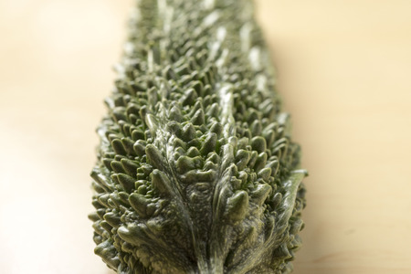 Bitter gourdの写真素材