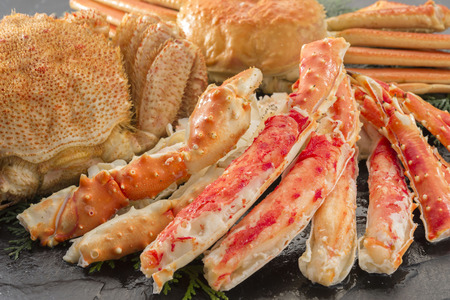 crabの写真素材