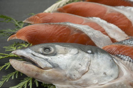 Salmonの写真素材