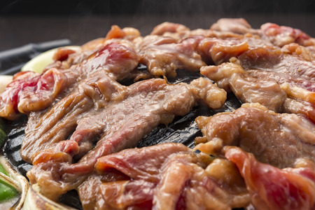 Lamb dishの写真素材