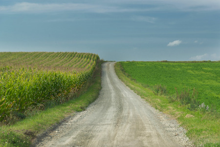 Straight roadの写真素材