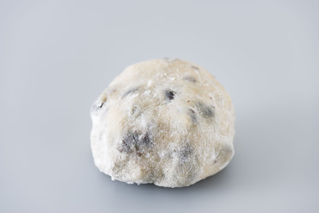 Dumplingsの写真素材