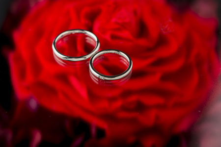 ringの写真素材
