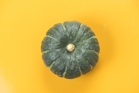 Harvested fresh pumpkin isolated on yellowの写真素材