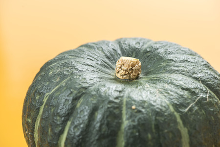 Harvested fresh pumpkin close upの写真素材