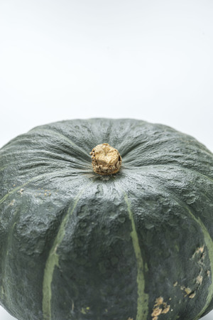 Harvested fresh pumpkin close upの写真素材