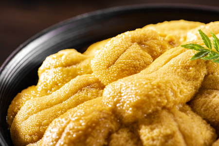 Japanese delicious sea urchin mealの写真素材