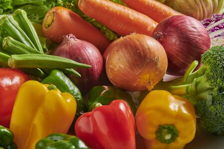 Gathering of delicious vegetables harvested in the fieldの写真素材