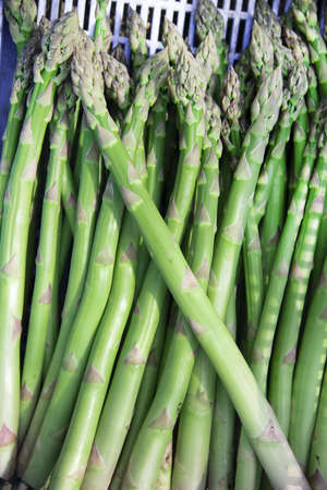 Fresh, sweet and delicious asparagusの写真素材
