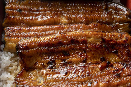 Traditional dishes cooked with fresh Japanese eelの写真素材