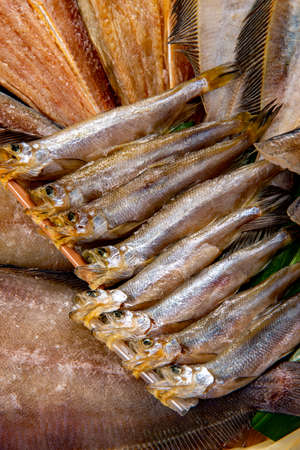 Delicious fresh fish in Japan