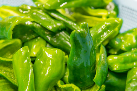 Green peppers on the counter in the store. Selective focus.の写真素材
