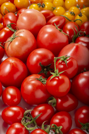 Red and yellow cherry tomatoes on a white background, close-upの写真素材