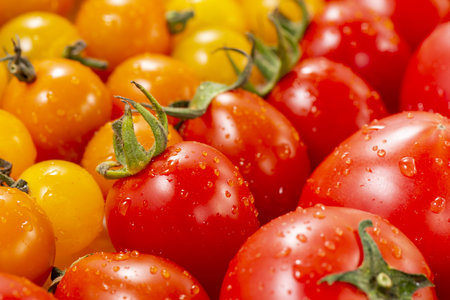Close up of red and yellow cherry tomatoes on a white background.の写真素材
