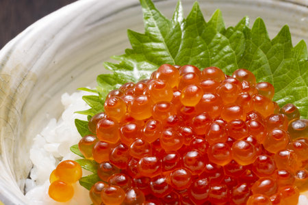 Salmon roe sashimi japanese food on wooden backgroundの写真素材