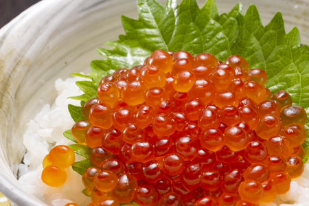 Japanese food in a bowl, close-up.の写真素材