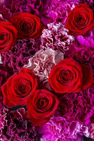 Flower background. Bouquet of red and pink carnations.の写真素材
