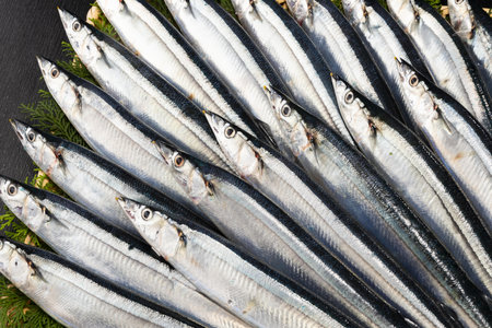 Fresh raw sardine fish on black background. Top view.の写真素材