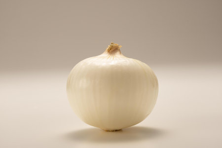 Onion on a white background, close-up, selective focusの写真素材