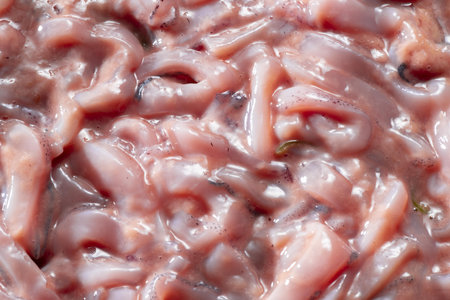 Fresh raw meat as a background. Close-up. Selective focus.の写真素材