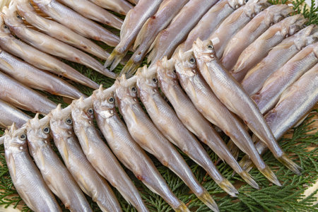 Fresh fish on a table in a restaurant, close-up.の写真素材