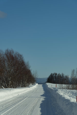 Snowy road in winter landscape with blue sky and white clouds.の写真素材