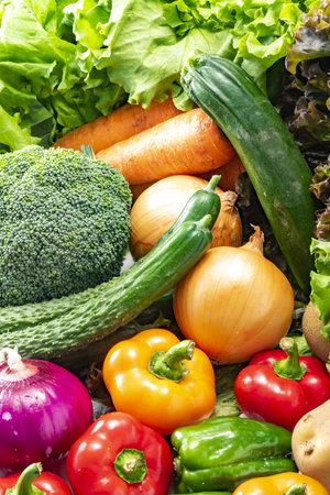 Composition with variety of fresh organic vegetables. Healthy food background. A lot of fresh and delicious vegetables harvested in the fieldの写真素材