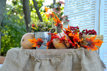 Autumn Bouquet, colorful autumn decoration, sunflower and berriesの写真素材