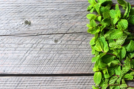 Fresh mint leaves on wooden backgroundの写真素材