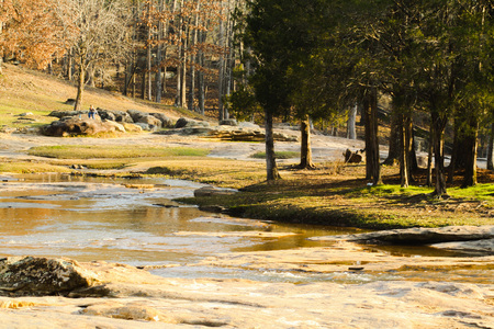 Flowing water around treesの写真素材