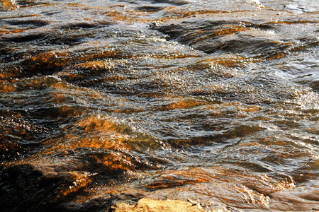 Water in a creekの写真素材