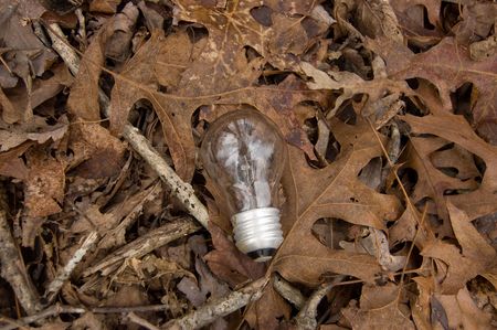 traditiinal light bulb thrown into some leavesの写真素材
