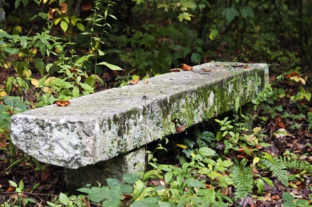Overgrown stone bench along a trail in the woodsの写真素材