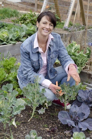 Smiling gardener working in th egarden pruning her plantsの写真素材