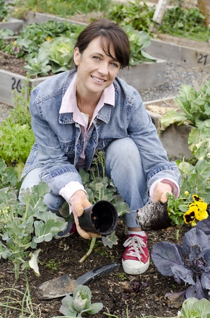 woman gardener pulling flowers out of a pot の写真素材