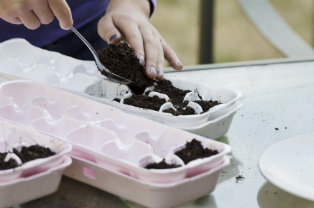 young girl is preparing to germinate seeds in egg cartonsの写真素材