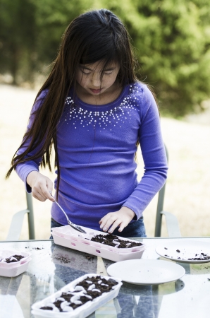 Young Asian girl is prepaing to germinate seedsの写真素材