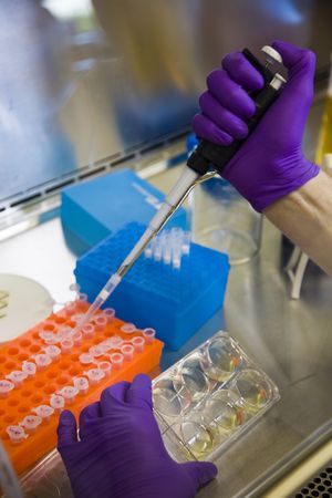 Laboratory scientist doing medical research. Vertically framed shot.の写真素材