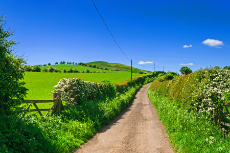 Country Lane,Rural Road の写真素材