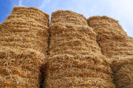 Bale of Hay Straw,Blue Skyの写真素材