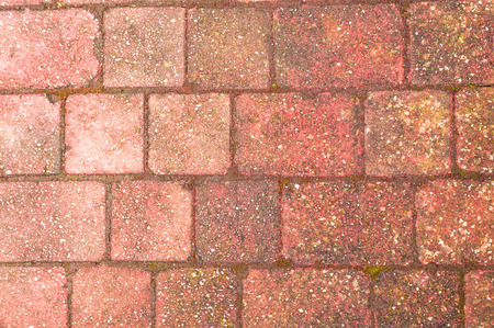 Block Paving Backgroundの写真素材