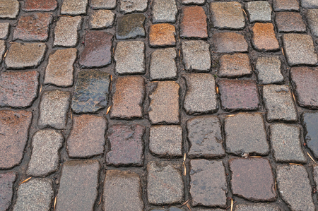 Wet Cobbled Road Close Up ,black,grey,beige with fallen dead leavesの写真素材