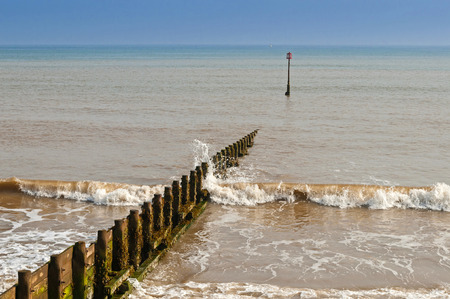 Wooden Groyne Coastal Defence Covered in Seaweedの写真素材